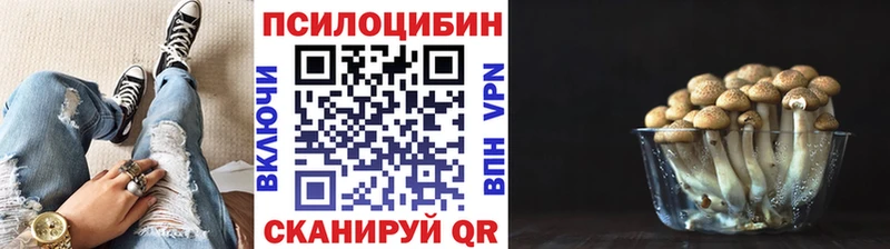 Галлюциногенные грибы Cubensis  Купить  Калязин 
